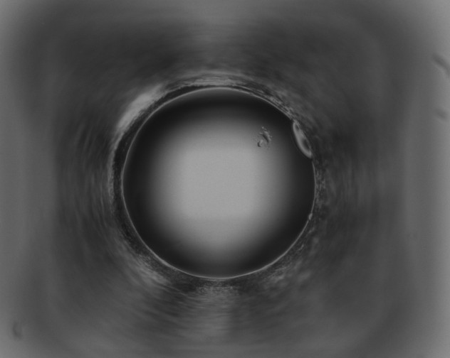 X0000092310296200709141358