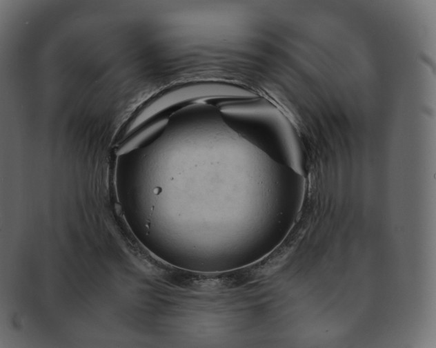 X0000092310301200709141358