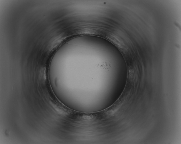 X0000092310302200709141358