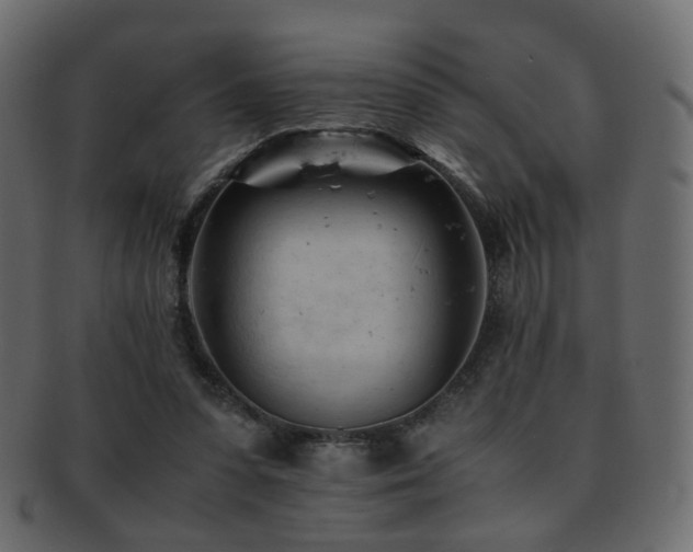 X0000092310303200709141358