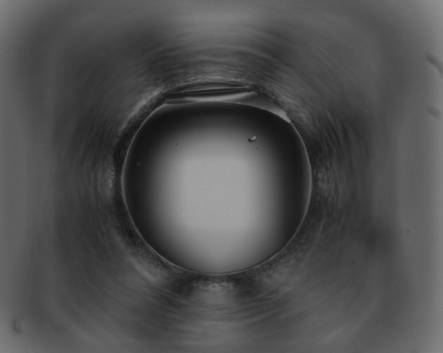 X0000092310304200709141358