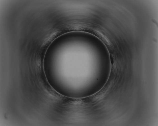 X0000092310306200709141358