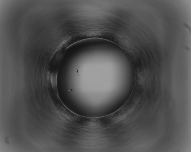 X0000092310308200709141358