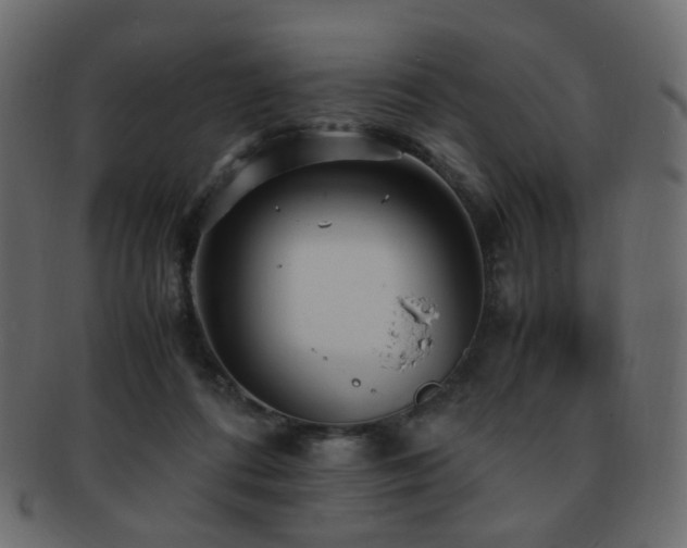 X0000092310312200709141358