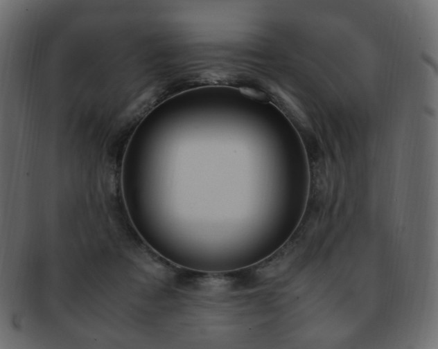 X0000092310313200709141358