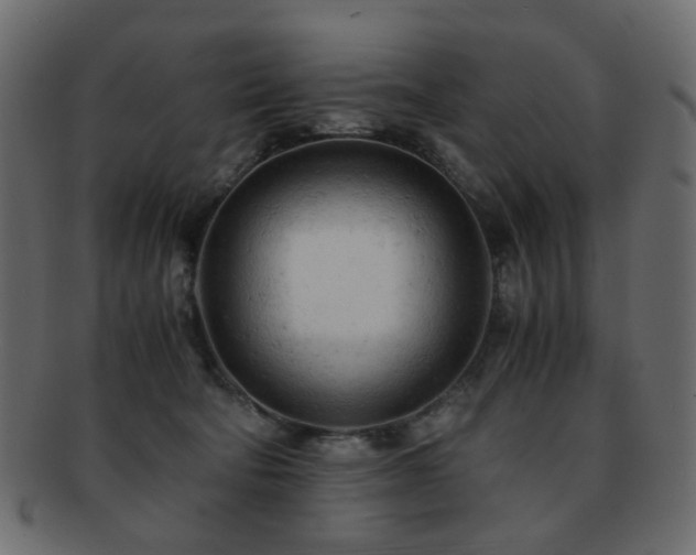 X0000092310322200709141358