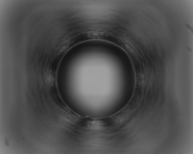 X0000092310324200709141358