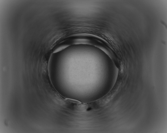 X0000092310325200709141358
