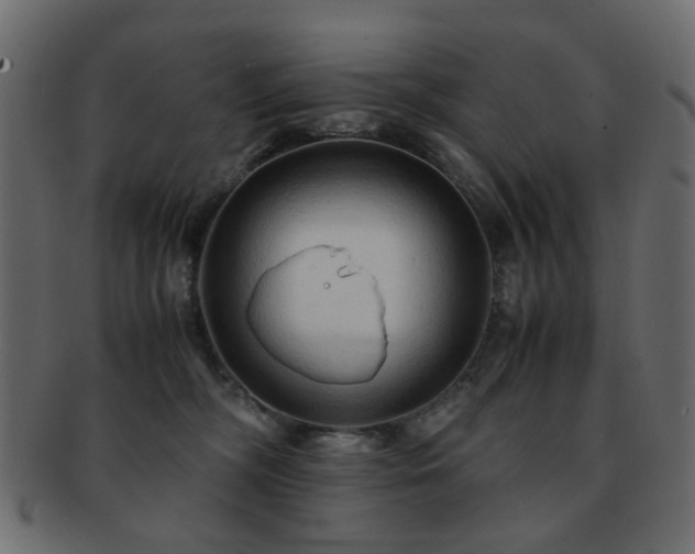 X0000092310326200709141358