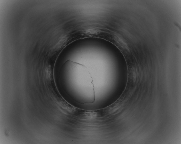 X0000092310328200709141358