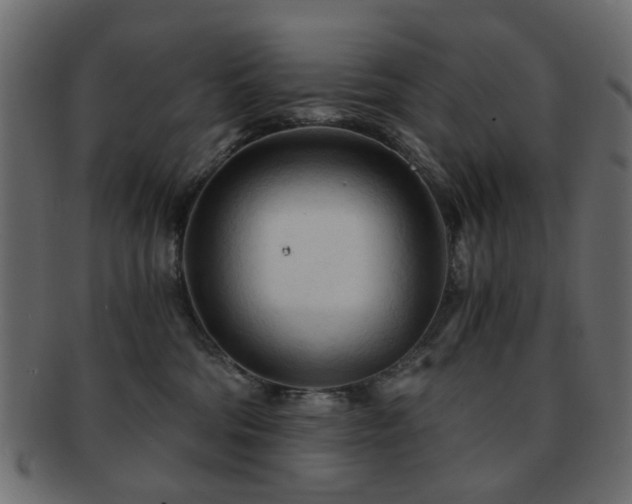 X0000092310330200709141358