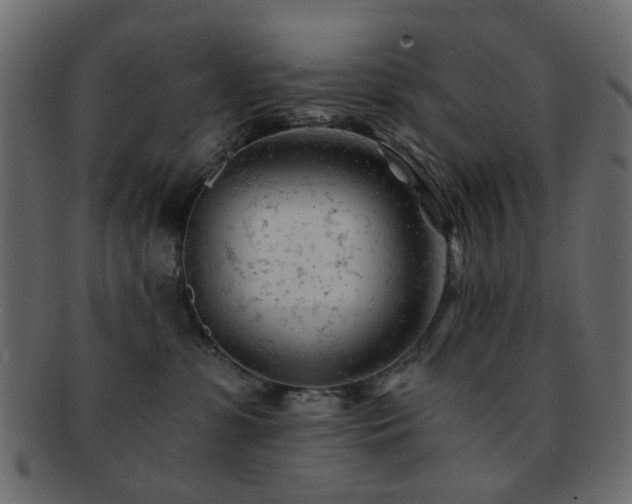 X0000092310331200709141358