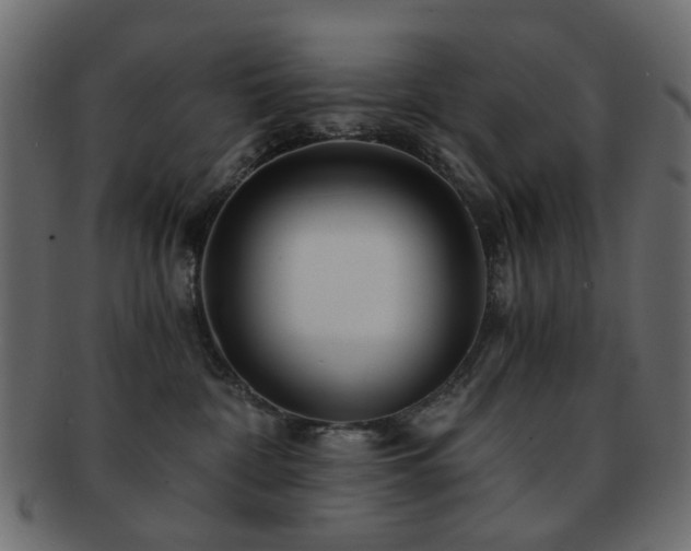X0000092310332200709141358