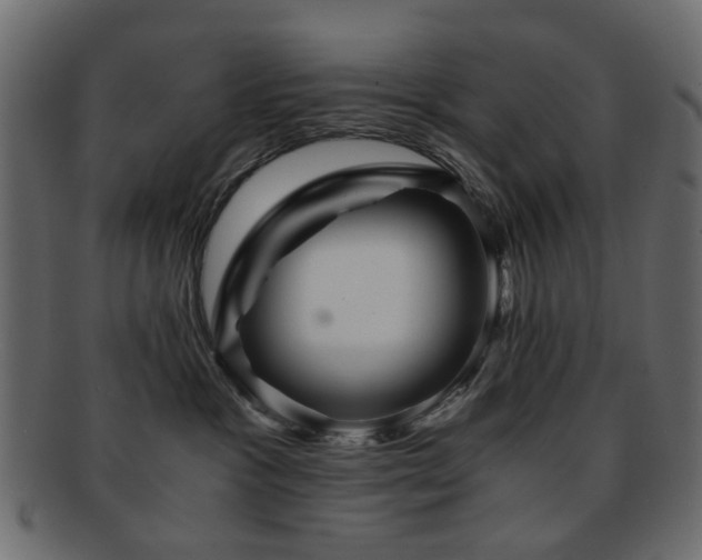 X0000092310333200709141358
