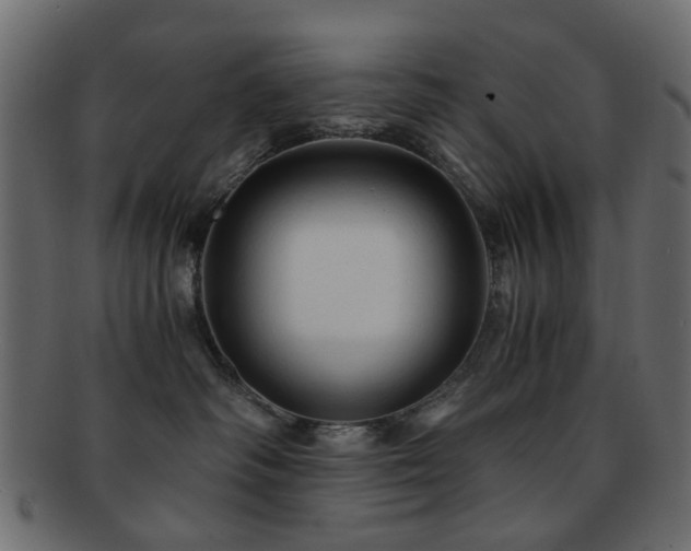 X0000092310334200709141358