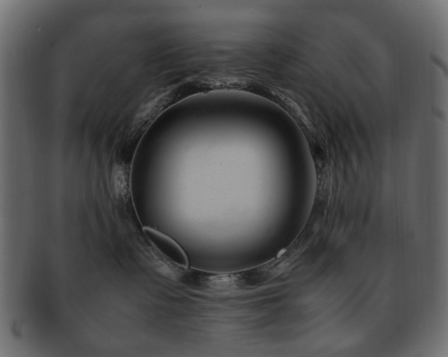X0000092310335200709141358