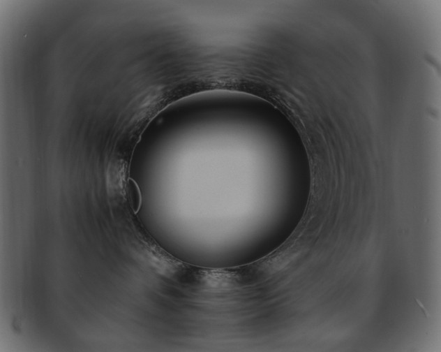 X0000092310336200709141358