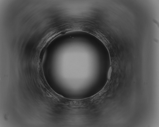 X0000092310338200709141357