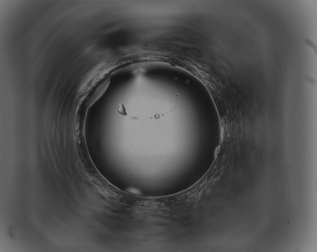 X0000092310339200709141357