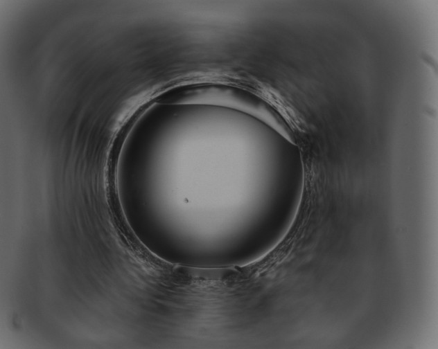 X0000092310340200709141357