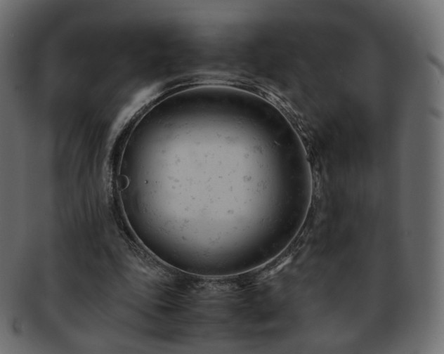 X0000092310343200709141357