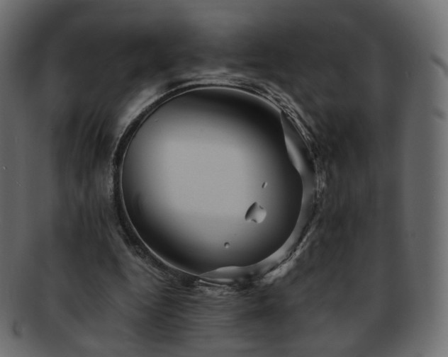 X0000092310344200709141357