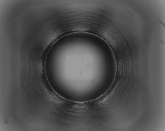 X0000092310351200709141357