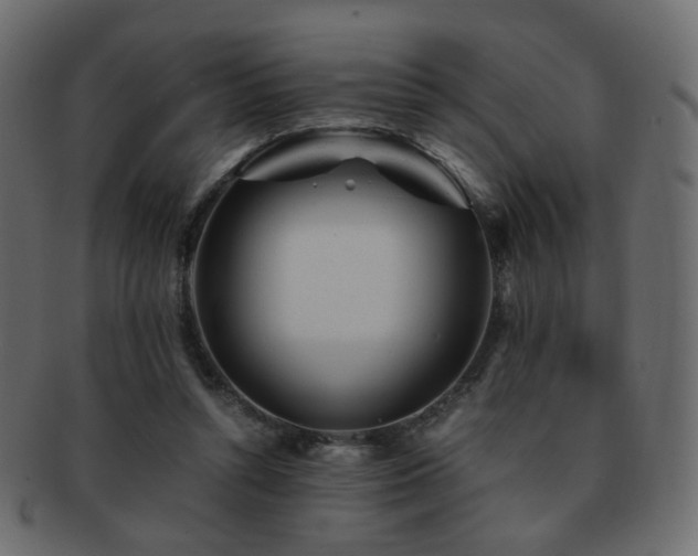 X0000092310352200709141357