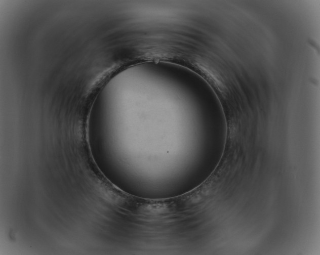 X0000092310353200709141357