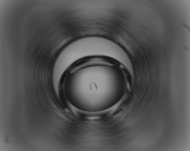 X0000092310356200709141357
