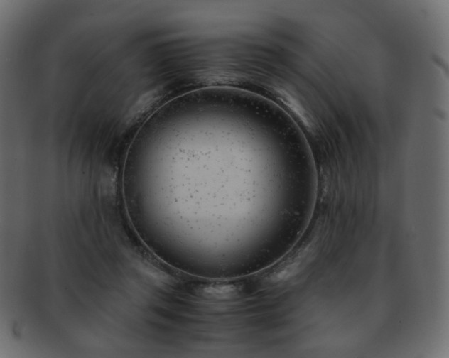 X0000092310357200709141358