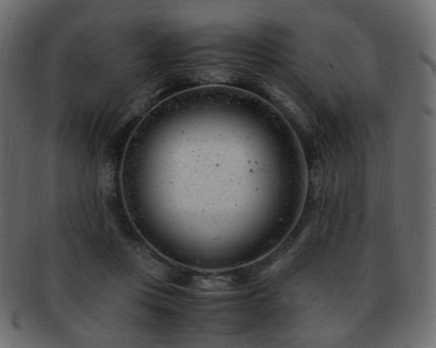 X0000092310359200709141358