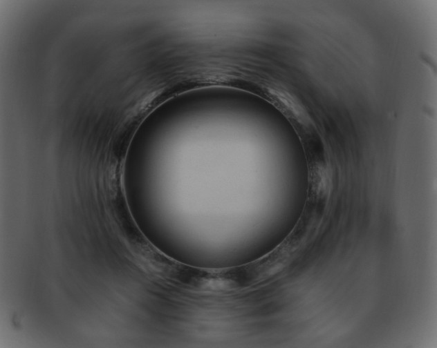 X0000092310360200709141358