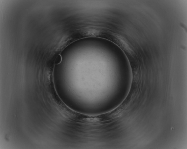X0000092310363200709141358