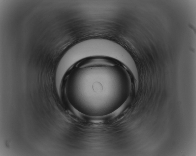 X0000092310364200709141358
