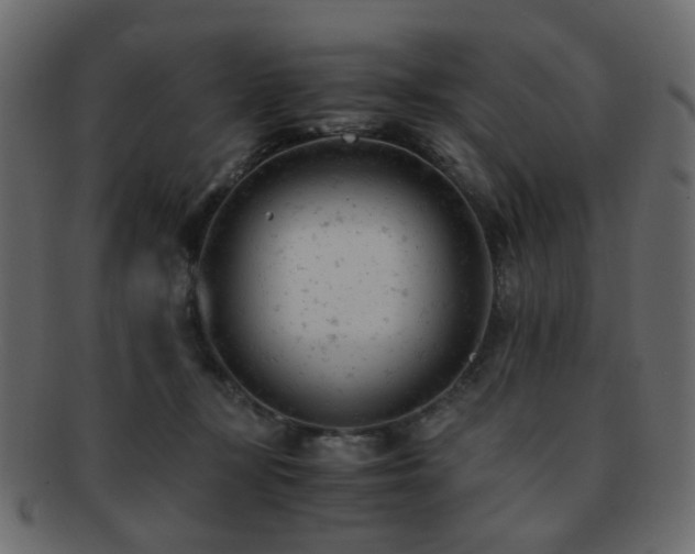 X0000092310367200709141358