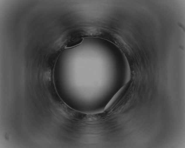 X0000092310368200709141358