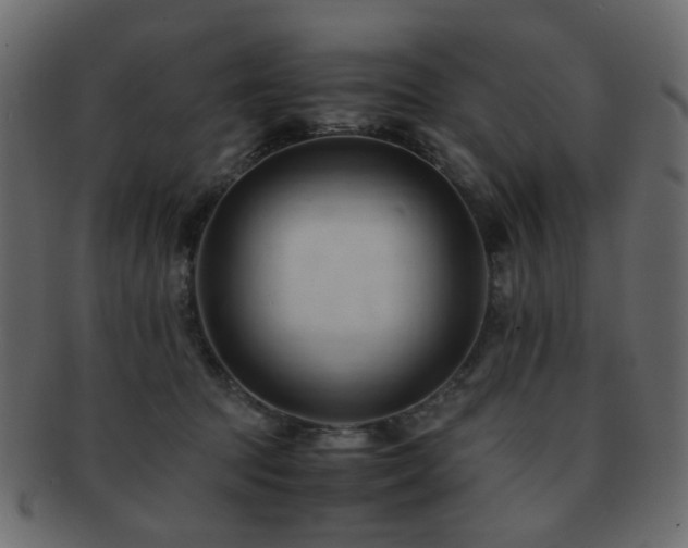 X0000092310369200709141358