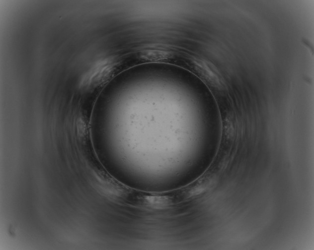 X0000092310371200709141358