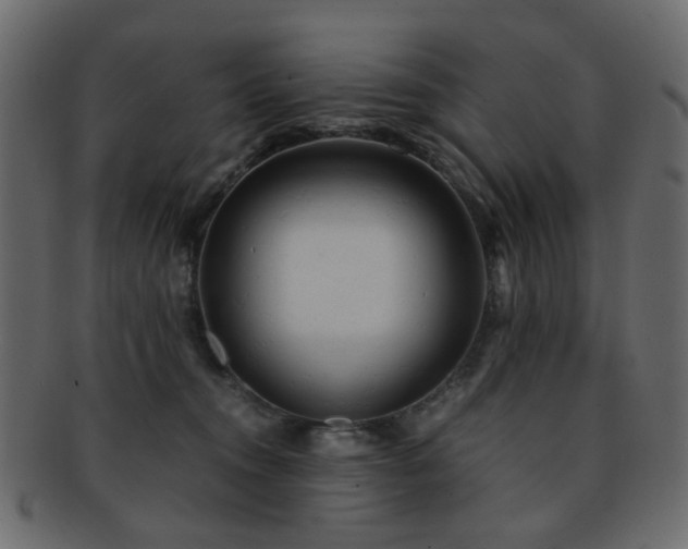 X0000092310372200709141358