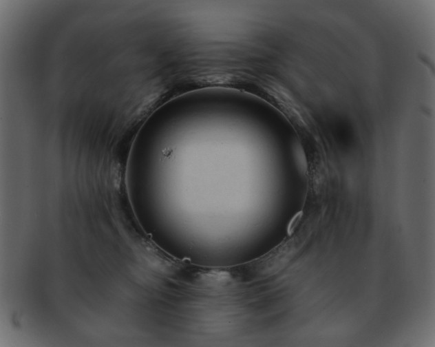 X0000092310374200709141358