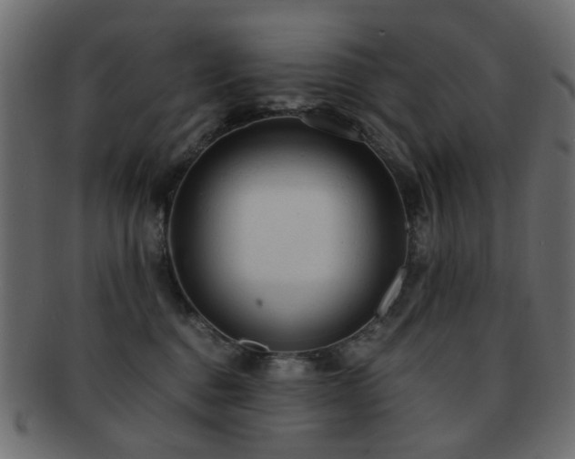 X0000092310376200709141358
