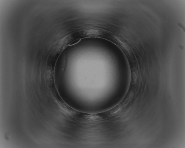 X0000092310379200709141358