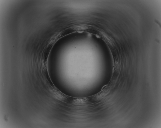 X0000092310381200709141358