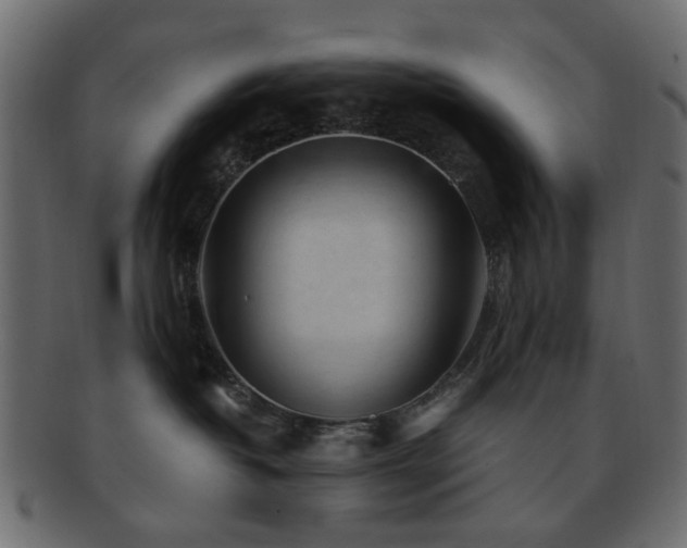 X0000092310382200709141358
