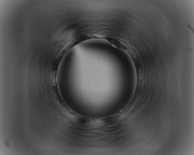 X0000092310383200709141358