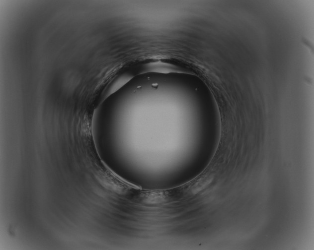 X0000092310384200709141358
