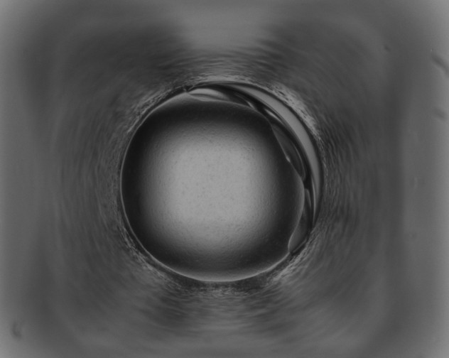 X0000092310385200709141357