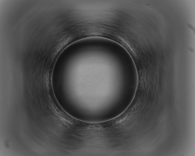 X0000092310386200709141357