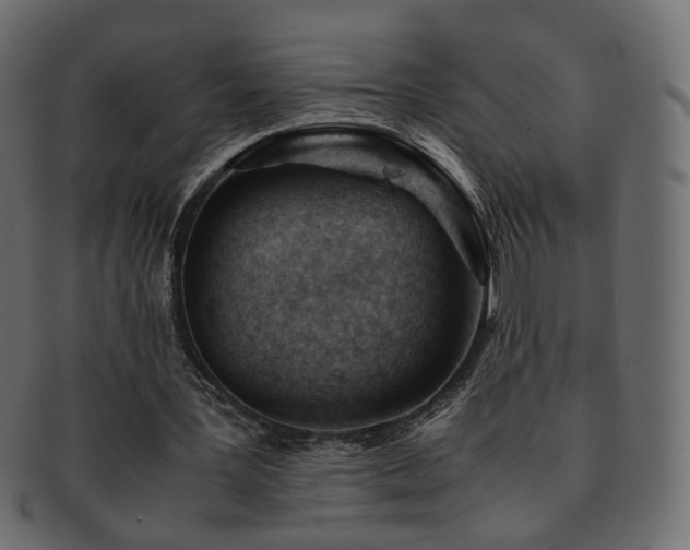 X0000092310387200709141357